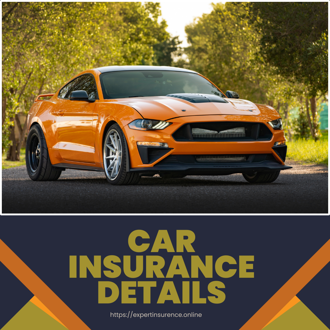 Car Insurance Details